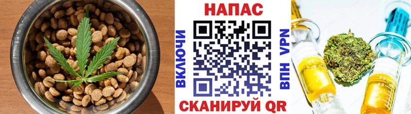 даркнет какой сайт  Беломорск  Cannafood марихуана 