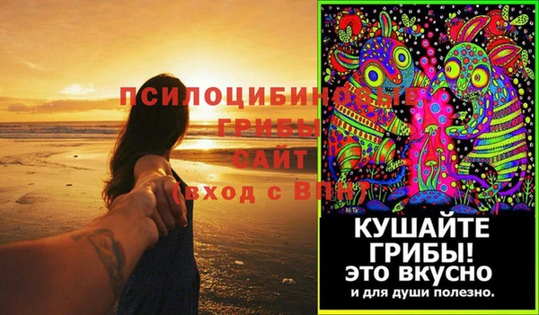 шишки Алексеевка