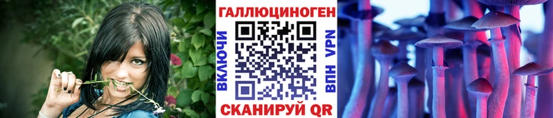 гидра маркетплейс  Беломорск  Галлюциногенные грибы Psilocybine cubensis 